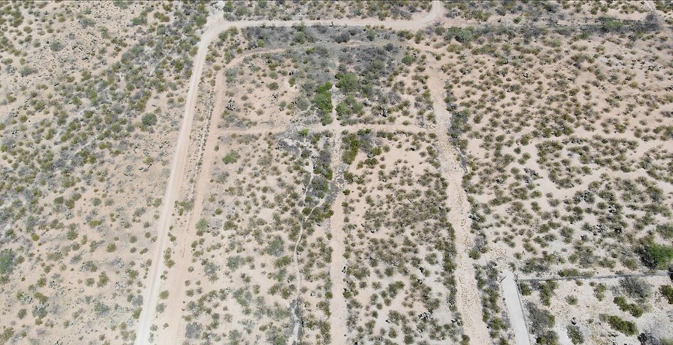 oasis land.png