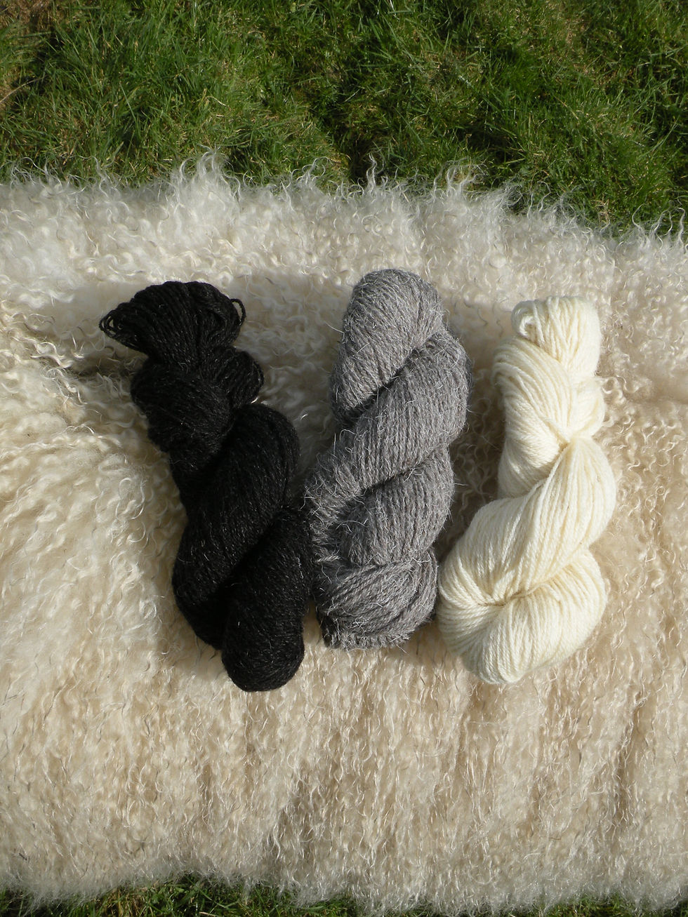 Yarn Photo 1 .JPG