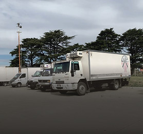 SF-04.jpg