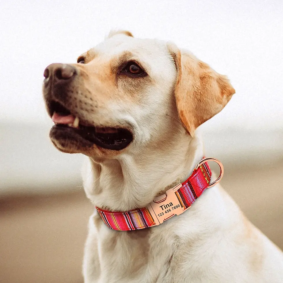 Thumbnail: Nylon Pet Dog Collar Personalized Custom Nameplate
