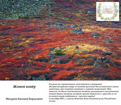 Мазурин Е.Б. Живой ковёр