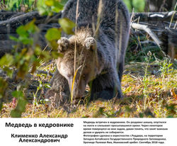 Ф_Клименко Александр Александрович_Медве