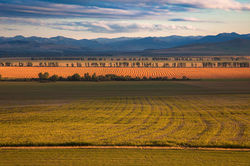 Здесь начинаются горы