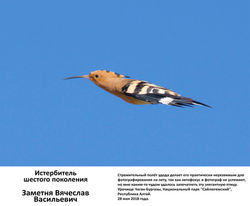 Ф_Заметня Вячеслав Васильевич_Истербител