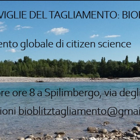Osservare la natura: prepariamoci al Bioblitz sul Tagliamento