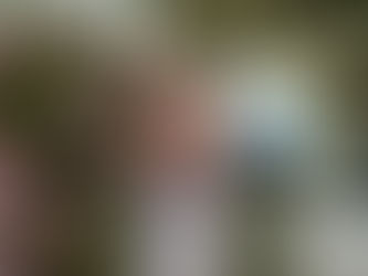 Teacher profile: Mr. Malmed