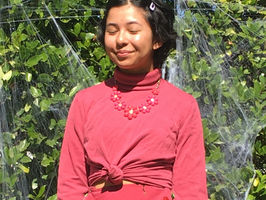 Francesca's Fashion Profiles