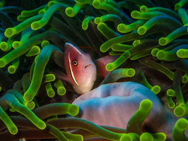 Teacher Profile: Mr. Shattuck