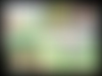 The cautionary tale of my Personal Project