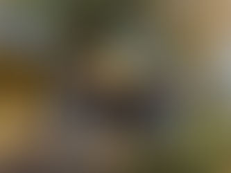 The pizza street preachers