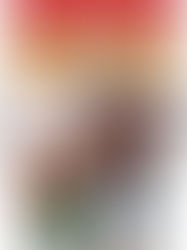 The Hero House cover: an AclinCorp premiere!