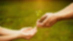 Hands reaching out a plant to other hands