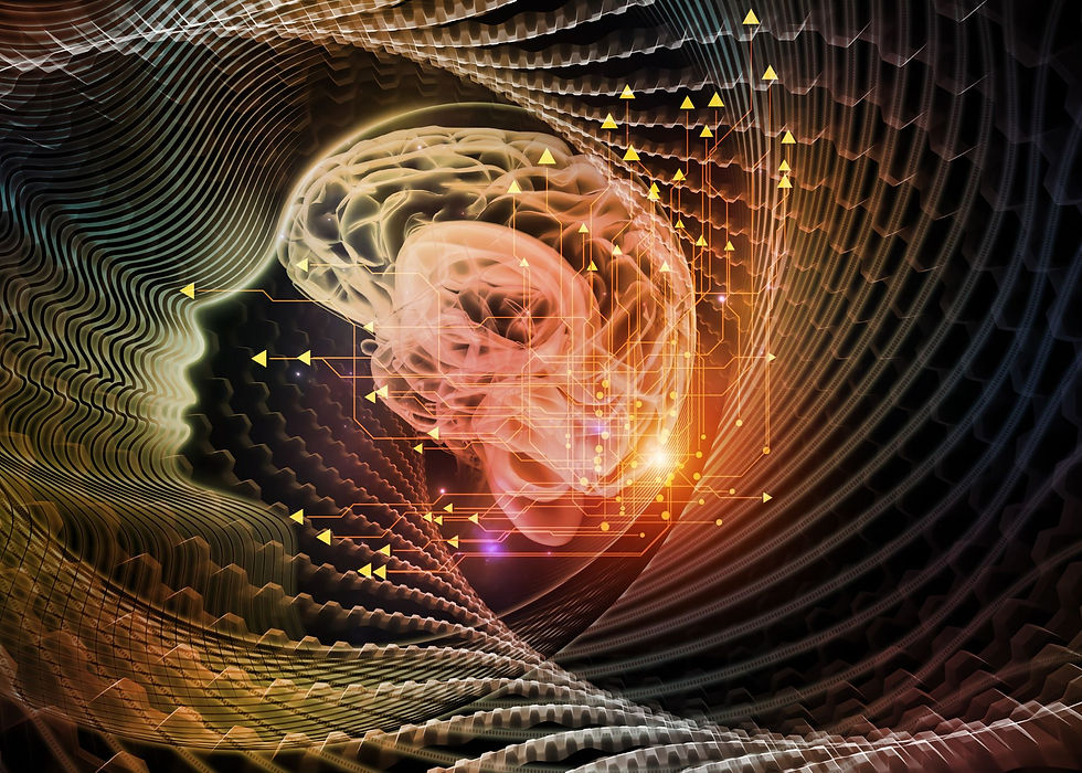 Mind, Body, Spirit, and Heart Connection