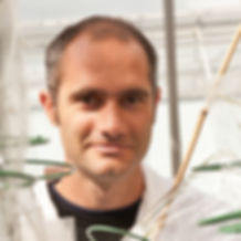 Dr Brande Wulfe, Project Leader, Crop Ge