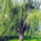 FB_IMG_1632668639055