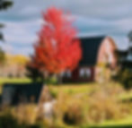 PXL_20211029_205952504.MP