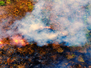 The Most Shocking Climate News of 2026