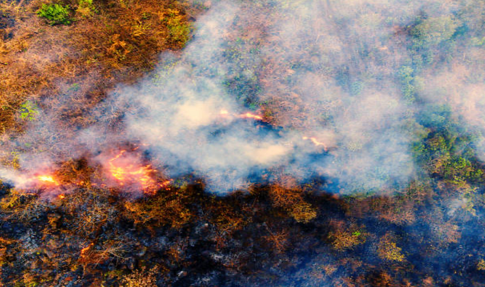 The Most Shocking Climate News of 2026