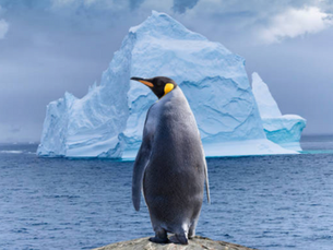 Shocking Revelations Out of West Antarctica
