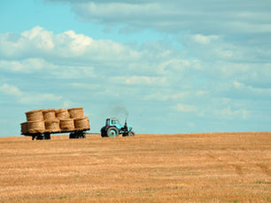 Extreme Heat Takes Farming to the Brink
