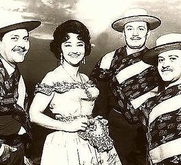 Rossana Pino, Artista Nacional