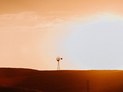 Risks for Farmers and Ranchers Using Infinite Banking