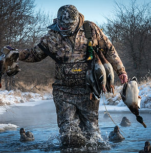 Duck hunter walking through cold river