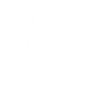 Untitled design (1).png