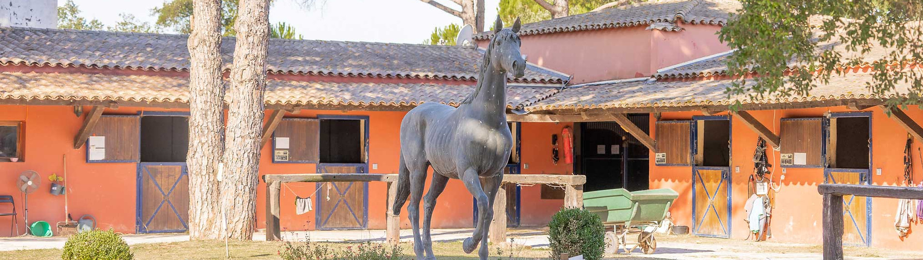 DEGP_Domaine_Equestre_Des_Grands_Pins_Vidauban.jpg