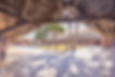 DEGP_Domaine_Equestre_Des_Grands_Pins_Vidauban_Stages_Perfectionnement_Location_Evenementi