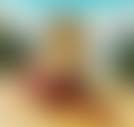 豆、まめ、マメ