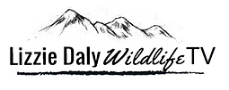 Screen Shot 2019-09-10 at 12.37.57.png