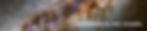 Hearsum_FLY_HOME_banner-01