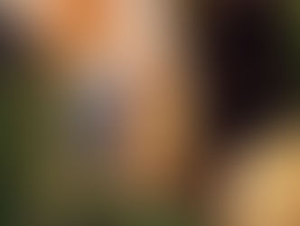 Casamento de Carla e Sérgio