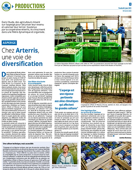 paysan du midi asperge Justine Bonnery