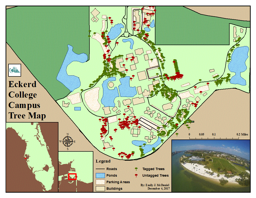 Eckerd Campus Tree Map