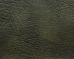 リンカーン600-L8394.jpg