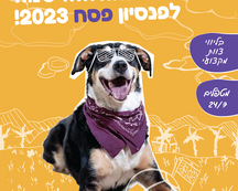 פוסטר פנסיון כאלבו תיקון_אוהד פרי-01.png