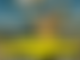 Malvinas en el alma: el piloto que aterrizó donde nadie se atrevía