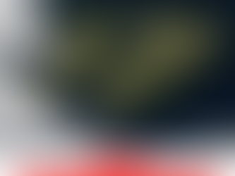 RECURSOS NATURALES: LO QUE GUARDA EL MAR Y LA TIERRA