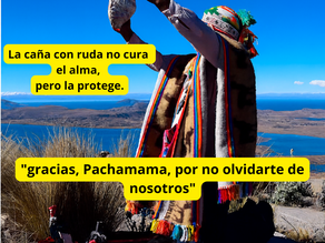Caña con ruda: el conjuro que despierta la tierra