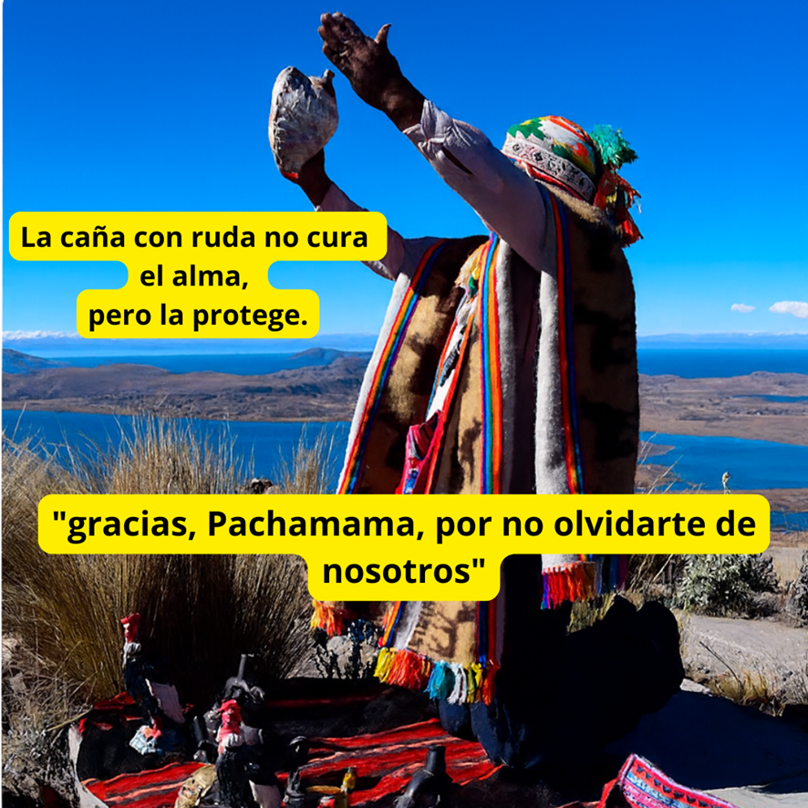 Caña con ruda: el conjuro que despierta la tierra