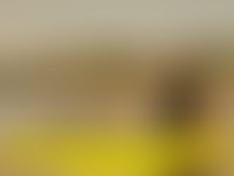 LAS MAESTRAS DEL VIENTO SUR: ENSEÑABAN ESPAÑOL EN TIERRA OCUPADA