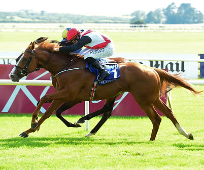 Hell Bent Curragh 22_edited.jpg