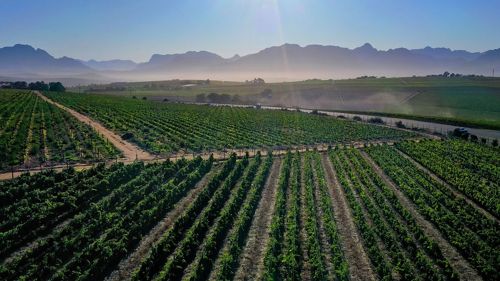 Harvest 2026: A Season in Motion