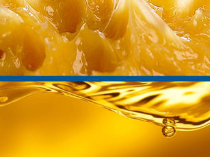 Industrial Greases.jpeg