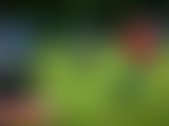 Knappe Entscheidungen am Heimspieltag der Augsburg Lions 2 in der DFFL2