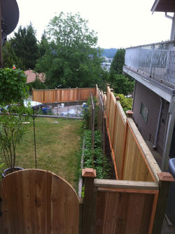 Cedar Fence around your home