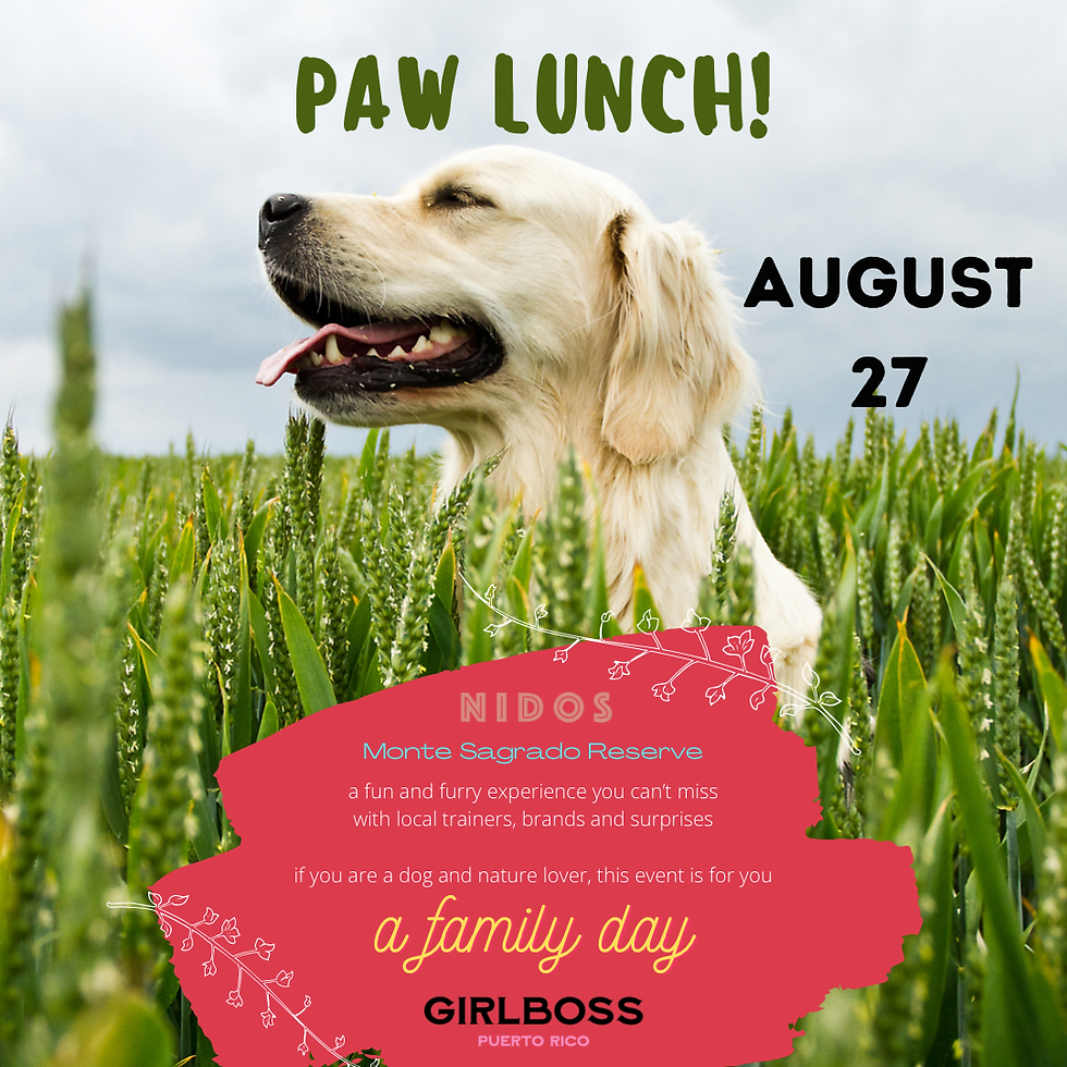 PAW LUNCH ii