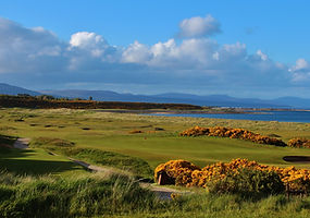 royal_dornoch_02.jpg